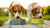 Do Dogs Need Raised Food Bowls? A Deep Dive into Feeding Solutions