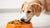 Do Dogs Need Supplements When Eating Homemade Food?