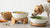 Do Elevated Food Bowls Cause Bloat in Dogs? Understanding the Connection