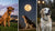 Do Full Moons Affect Dog Behavior? Let’s Find Out!-141100974319