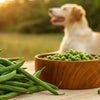 Do Green Beans Help Dogs Lose Weight? Exploring the Green Bean Diet for Dogs
