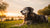 Do I Need to Feed My Dog Senior Food? A Comprehensive Guide for Pet Owners-141219299567
