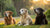 Do Senior Dogs Lose Weight? Understanding Weight Loss in Older Dogs