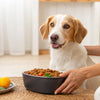 Do Vets Recommend Homemade Dog Food? A Comprehensive Guide for Pet Owners