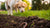 Do Worms Make Dogs Lose Weight? Understanding the Connection