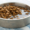 Do You Add Water to Dry Dog Food? Exploring the Benefits and Drawbacks