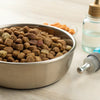 Do You Add Water to Freeze Dried Dog Food? Understanding the Benefits and Best Practices