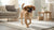 Do You Add Water to Kibble? Exploring the Benefits and Considerations for Your Dog