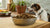 Do You Have to Add Water to Freeze-Dried Dog Food? Exploring the Benefits and Best Practices