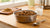 Do You Have to Refrigerate Wet Dog Food? Essential Tips for Proper Storage