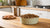 Do You Refrigerate Canned Dog Food After Opening? What Pet Parents Need to Know