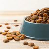 Does Air-Dried Dog Food Kill Bacteria? Understanding the Safety and Benefits
