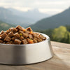 Does Canned Dog Food Expire? Understanding the Shelf Life and Safety of Your Pet's Food