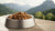 Does Canned Dog Food Expire? Understanding the Shelf Life and Safety of Your Pet's Food
