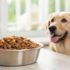 Does Canned Dog Food Give Dogs Diarrhea? Understanding the Impact on Your Pet's Digestive Health