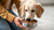 Does Canned Dog Food Need Refrigerated? The Ultimate Guide for Pet Owners