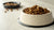 Does Dog Food Go Stale in Bowl? Understanding Quality, Storage, and Nutrition for Your Pup