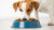 Does Dog Food Kibble Size Matter? Understanding the Impact on Your Pet’s Health