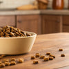 Does Dog Kibble Go Bad? Understanding Shelf Life and Storage Tips for Your Furry Friend