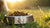 Does Dog Kibble Go Stale? Understanding Freshness and Storage for Your Pup's Food
