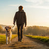 Does Dog Walking Count as Exercise? Understanding the Health Benefits of Walking Your Dog