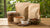 Does Dry Dog Food Get Stale? Understanding Shelf Life and Storage Tips
