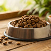 Does Dry Dog Food Go Bad in Heat? Essential Insights for Pet Owners