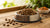 Does Dry Dog Food Go Bad in Heat? Essential Insights for Pet Owners