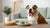 Does Dry Dog Food Make Dogs Thirsty? Understanding the Connection