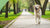 Does Exercise Help Dogs with Arthritis? Insights for Loving Pet Owners