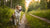 Does Fixing a Dog Help with Behavior? Exploring the Impact of Neutering on Canine Conduct-141100286191