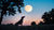 Does Full Moon Affect Dogs' Behavior? Understanding Your Pup’s Lunar Mood Swings