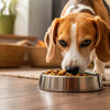 Does Grain Free Dog Food Give Dogs Heart Problems? Understanding the Risks and Making Informed Choices