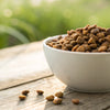 Does Grain-Free Dog Food Have Fiber? Understanding Fiber in Grain-Free Diets for Dogs