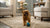 Does Grain Free Dog Food Help with Itching? Understanding Dietary Choices for Your Canine Companion