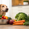 Does Grain-Free Dog Food Lead to Heart Disease? Understanding the Ongoing Debate