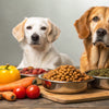 Does Grain-Free Food Hurt Dogs? Exploring the Truth Behind Grain-Free Diets