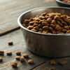 Does Grain in Dog Food Cause Allergies? Understanding the Science Behind Grain Allergies in Dogs