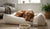 Does High Protein Dog Food Cause Diarrhea? Understanding the Impacts on Your Canine Companion's Health-141417808111