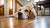 Does High Protein Dog Food Cause Gas? Understanding Flatulence in Dogs-141042680047