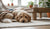 Does Hitting a Dog Correct Behavior? The Effects of Physical Punishment on Canine Training-141420593391