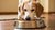 Does My Dog Need a Raised Food Bowl? Exploring the Benefits and Considerations