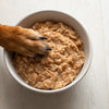 Does Oatmeal Help Dogs Gain Weight? Exploring the Benefits and Guidelines