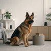 Does Peanut Butter Cause Diarrhea in Dogs? Understanding the Risks and Benefits for Your Furry Friend
