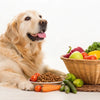 Does Protein Make Dogs Gain Weight? Understanding the Role of Protein in Your Dog's Diet