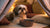 Does Pumpkin Cause Diarrhea in Dogs? Understanding the Benefits and Risks