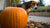 Does Pumpkin Help Dogs Gain Weight? Understanding the Nutritional Benefits and Risks