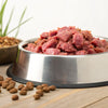Does Raw Dog Food Cause Worms? Exploring the Risks and Realities
