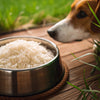Does Rice Make Dogs Gain Weight? Understanding the Impact of Rice on Your Dog's Diet