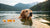 Does Salmon Oil Make Dogs Gain Weight? Understanding the Effects of Salmon Oil on Canine Health